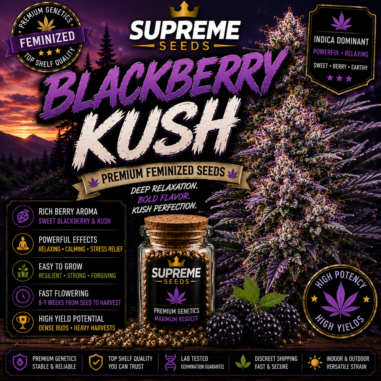 Feminized Seeds