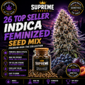 26 Top Seller Indica Feminized Seed Mix