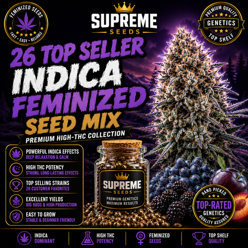 26 Top Seller Indica Feminized Seed Mix