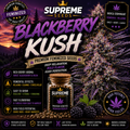 BlackBerry Autoflower Seeds | Premium Indica-Dominant Hybrid