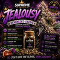Jealousy Feminized Seeds | Premium Hybrid Genetics