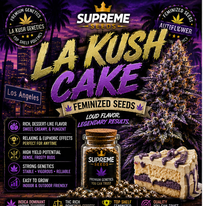LA Kush Cake Feminized Seeds | Premium Dessert Hybrid Genetics