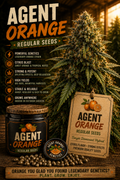 Agent Orange Regular Seeds