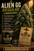 Alien GG Regular Seeds