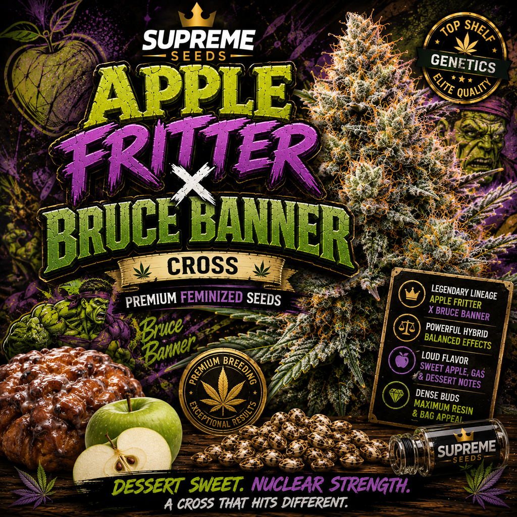 Bruce Banner Regular Seeds | High-Potency OG Kush x Strawberry Diesel Hybrid
