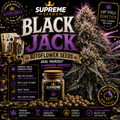 Black Jack Autoflower Seeds | High-Potency Hybrid Strain