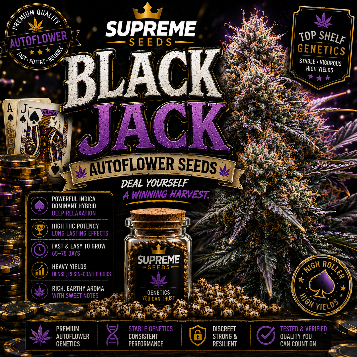 Black Jack Autoflower Seeds | High-Potency Hybrid Strain
