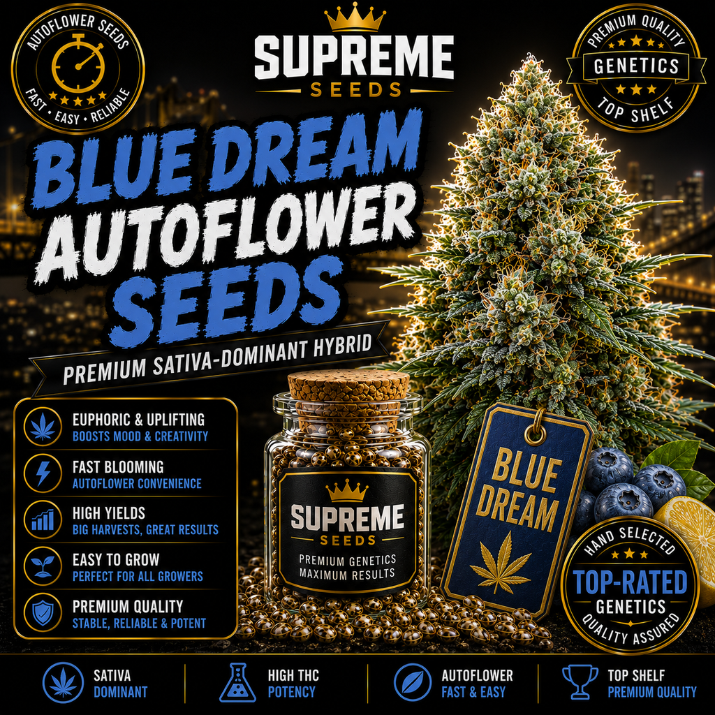 Blue Dream Feminized Seeds