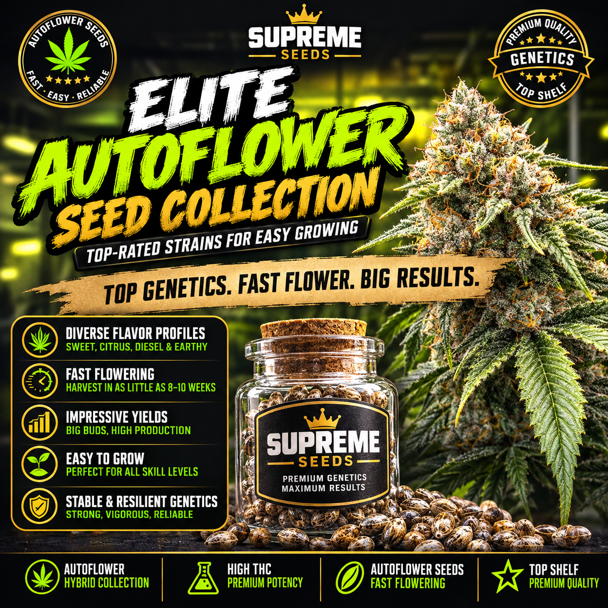 Autoflower Seed Collection
