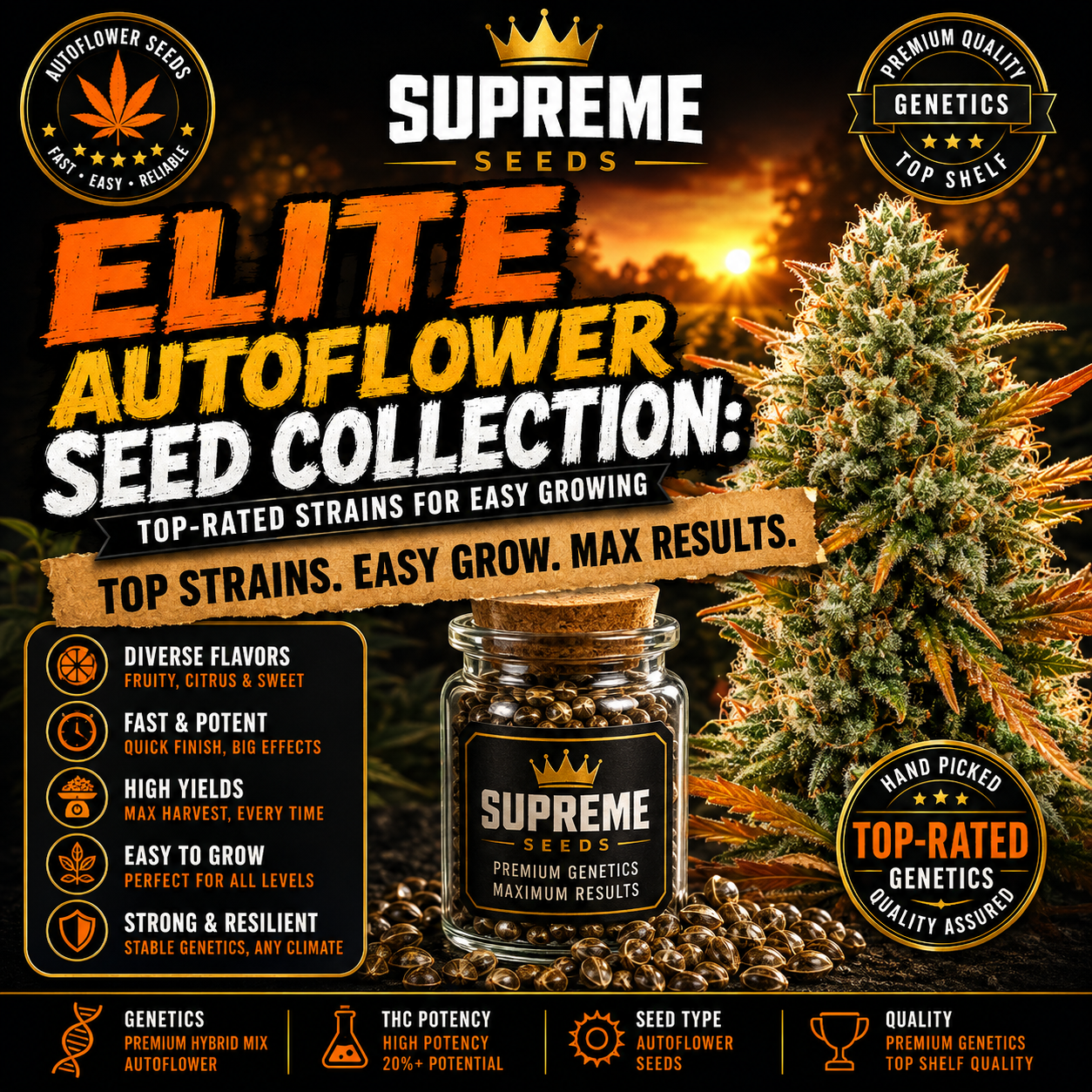 Elite Hybrid Feminized Seed Collection