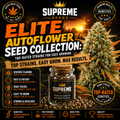 Elite Hybrid Feminized Seed Collection