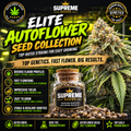 Elite Indoor Autoflower Seed Collection