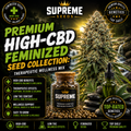 Premium High-CBD Feminized Seed Collection