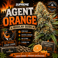 Agent Orange Regular Seeds | Premium Citrus-Forward Hybrid Genetics