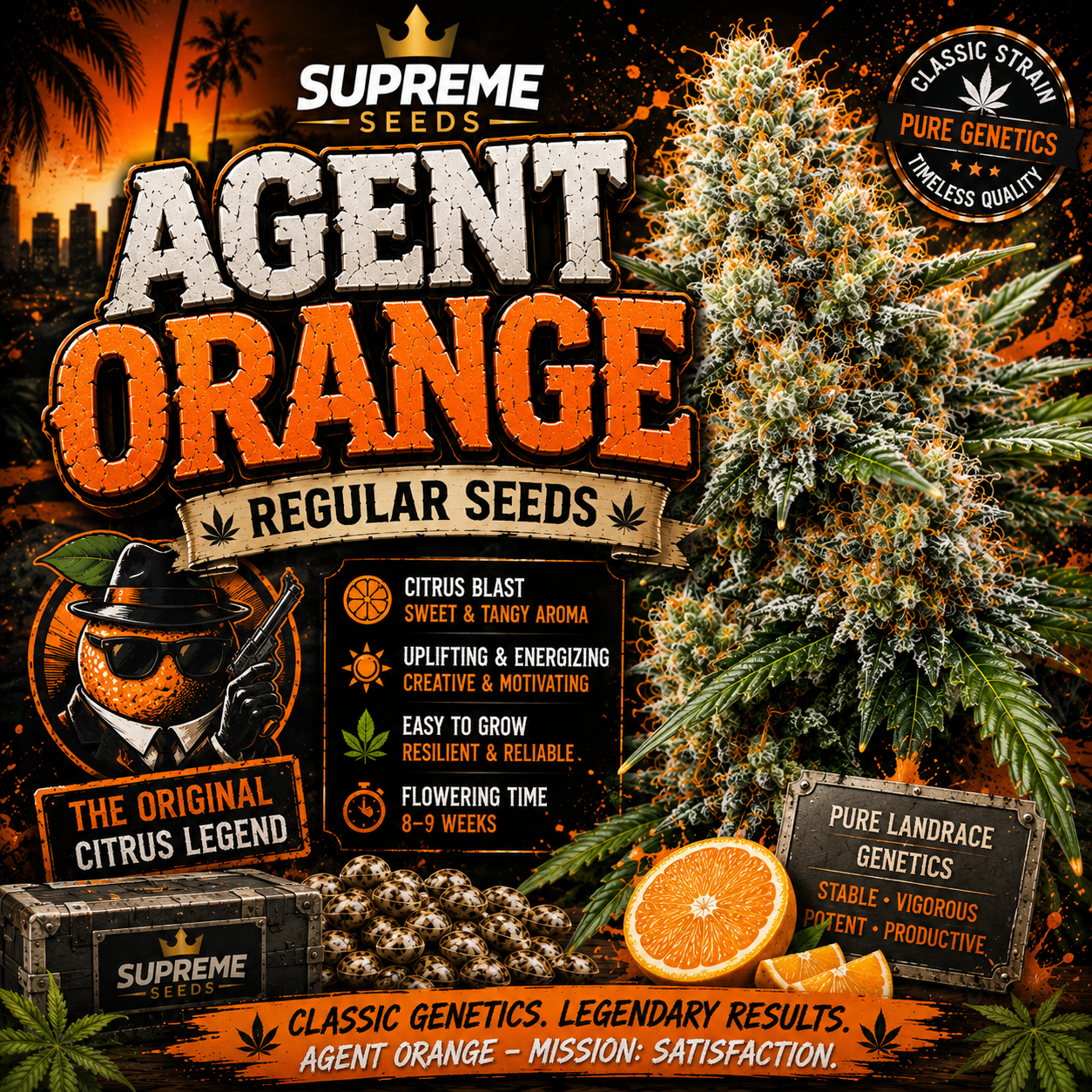 Agent Orange Regular Seeds | Premium Citrus-Forward Hybrid Genetics