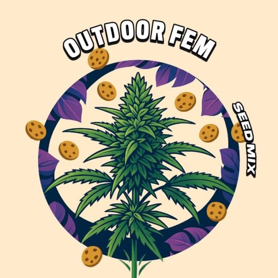 Premium Outdoor Feminized Seed Mix