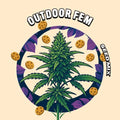 Premium Outdoor Feminized Seed Mix