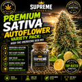 Premium Sativa Autoflower Variety Pack