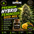 Premium Hybrid Autoflower Seed Mix