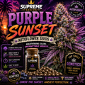 Purple Sunset Autoflower Seeds | Premium Hybrid Genetics