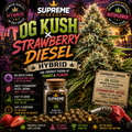 Bruce Banner Regular Seeds | High-Potency OG Kush x Strawberry Diesel Hybrid