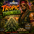 Tropic Thunder Regular Seeds | Exotic Hawaiian & Skunk Hybrid
