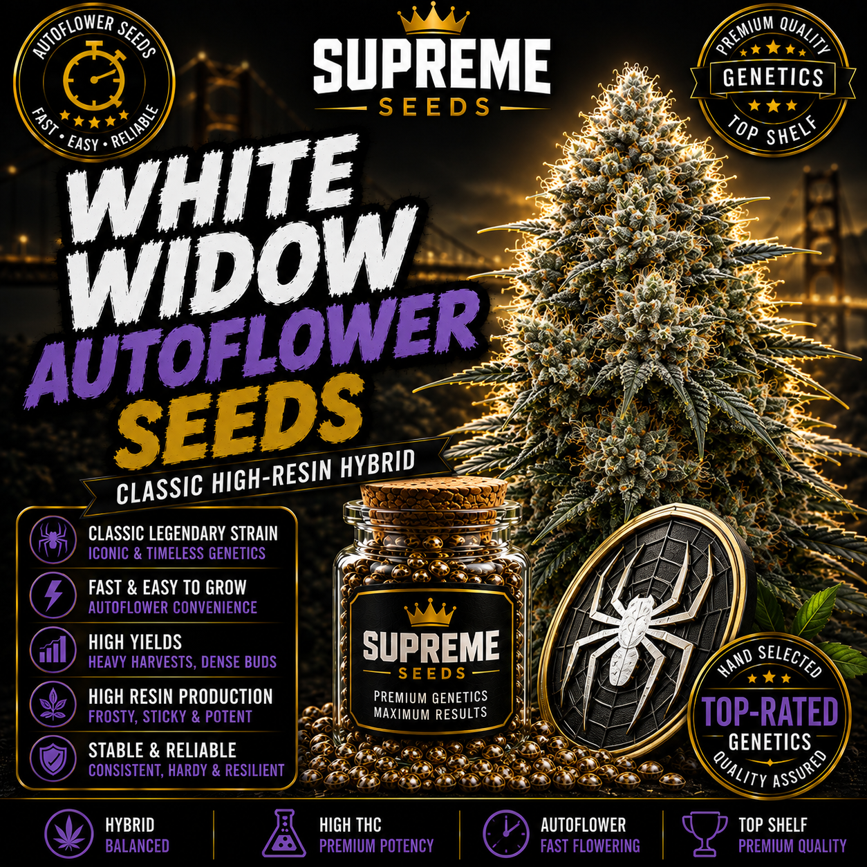 White Widow Autoflower Seeds