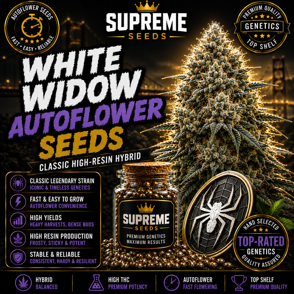White Widow Autoflower Seeds