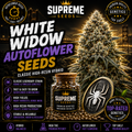White Widow Autoflower Seeds