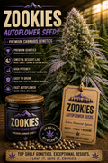 Zookies Autoflower Seeds